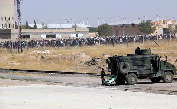 11401300_818094404965226_8615235137837105832_n