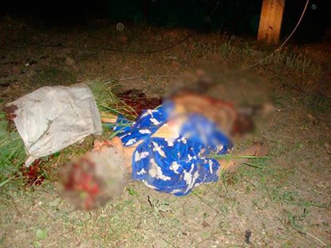 11403461_1607945446146131_6224074136038926456_n