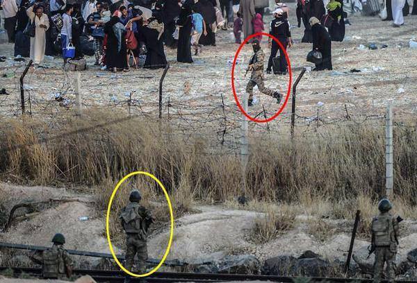 11406862_931466956896312_3699079975983498416_n