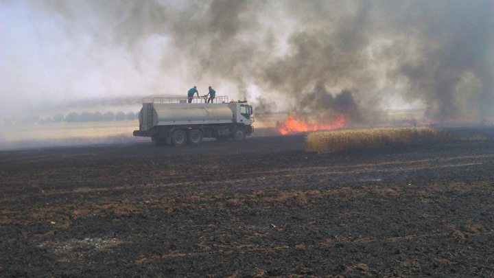 4_1606010373016895_4501600864949958590_n