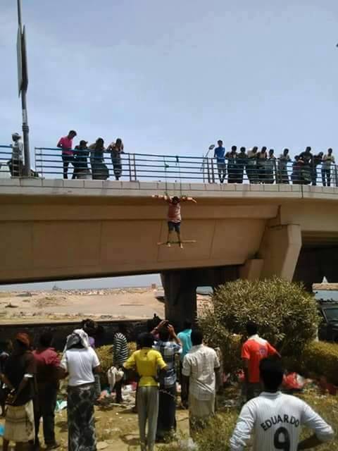 1472081_779602502155240_1323985882437401178_n