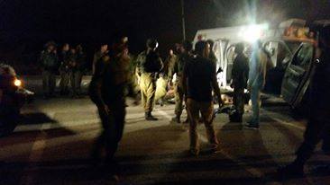 1524855_1146294255396072_3888177145458310726_n