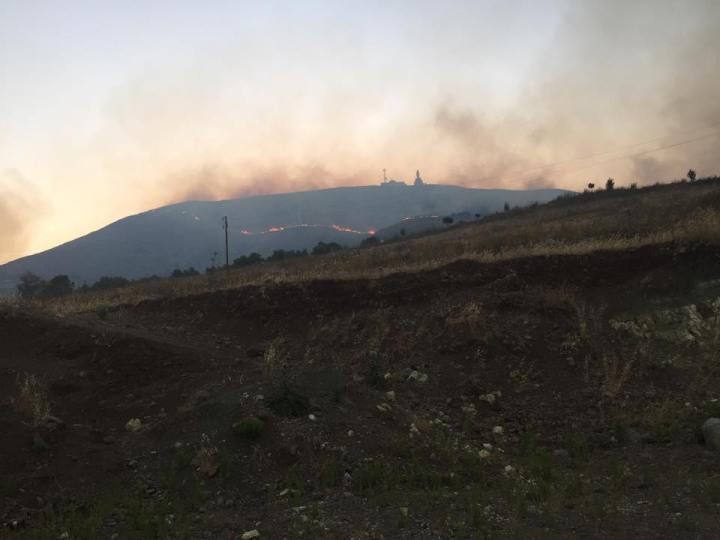 10372510_884842548263465_2130347490480628661_n