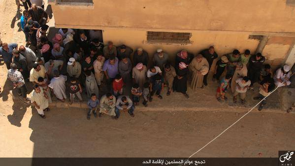 11028972_701204859985458_8115681060263535651_n