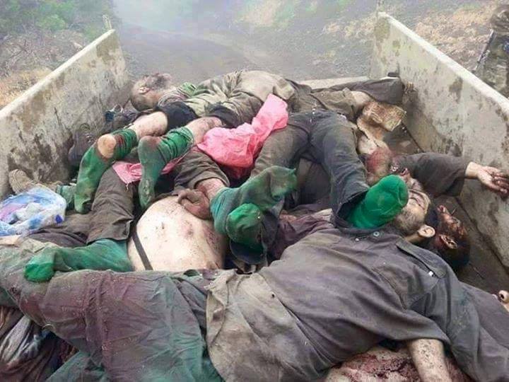 11143337_404727743053790_2845387369378632337_n