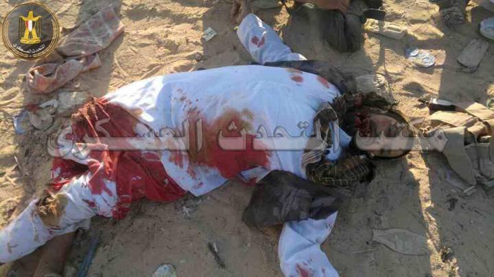 11659485_686321808165471_5219699719930483588_n