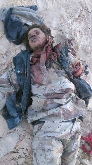 11665395_681331865331132_6383845959817509336_n