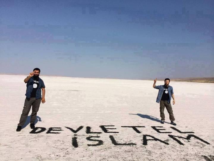 11666060_1627815620831903_3502256896372990063_n