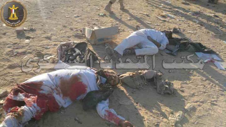 11701072_686321824832136_2725392019175473759_n