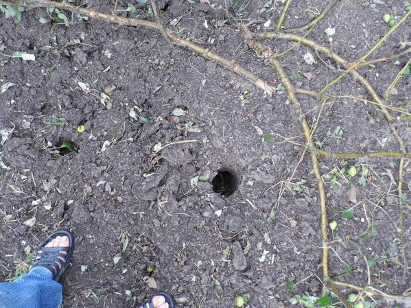 11716030_868918609854460_855000707_n