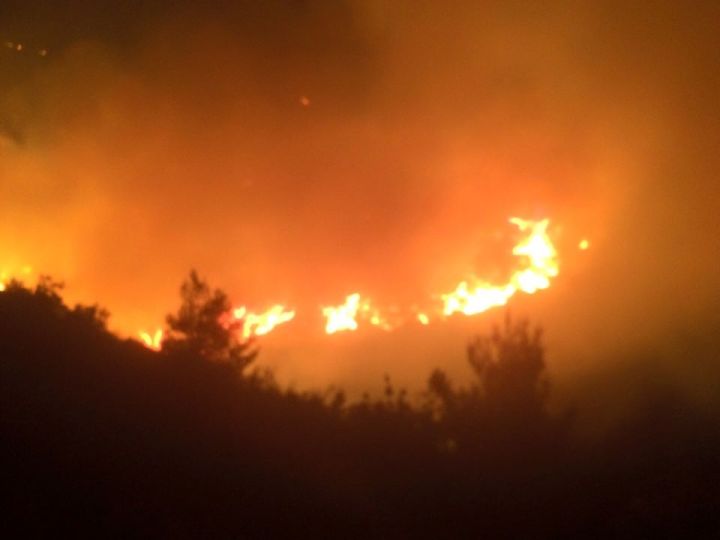 11752561_872318626171263_3832201573862284600_n