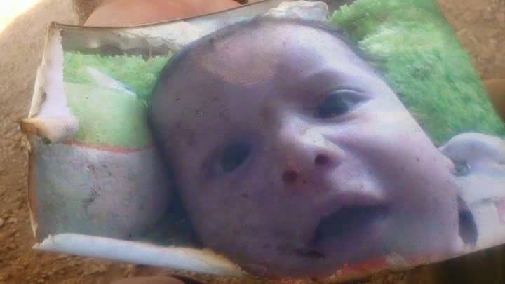 11822813_1135680079807744_3665762339902907044_n