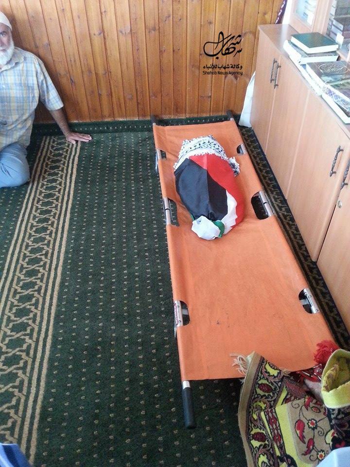 11831710_10207253832805541_1047038799709792274_n