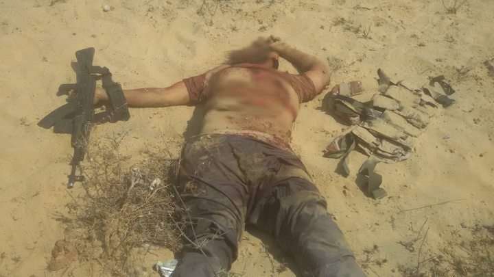 10462913_698855953578723_1568091724645804543_n