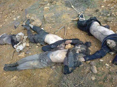 11209364_710144019091542_2532273884768370421_n