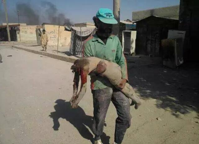 11214118_10155818465495315_2725150041409637298_n