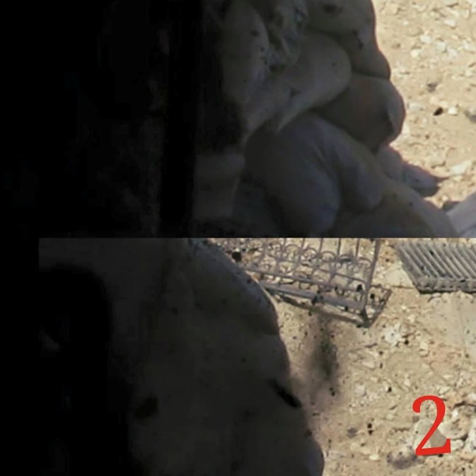 11796313_1040022842715198_5834913538624882345_n