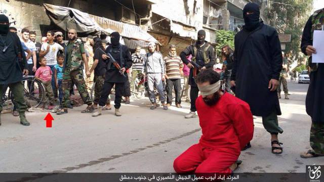 11796338_1656975204523738_398671426088856465_n