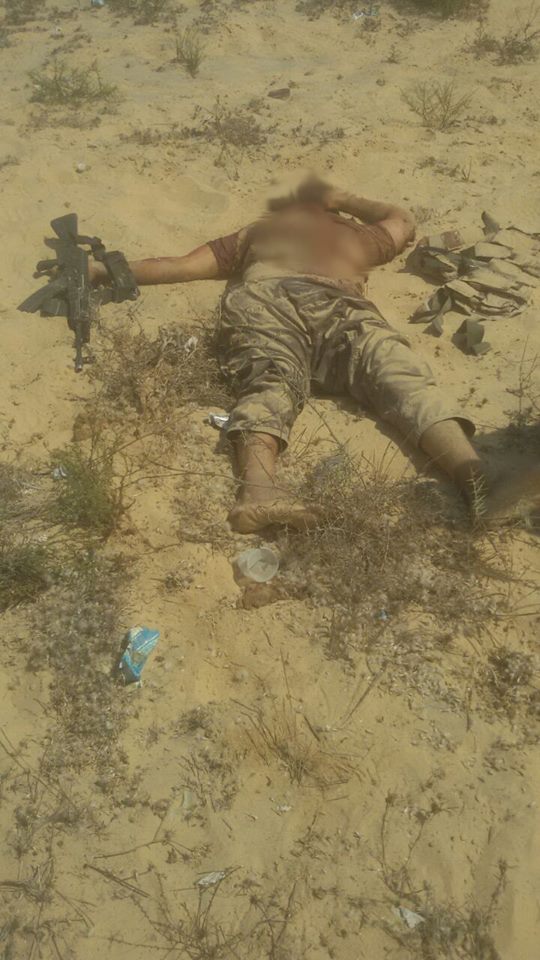 11811362_698856173578701_7191294758980420551_n