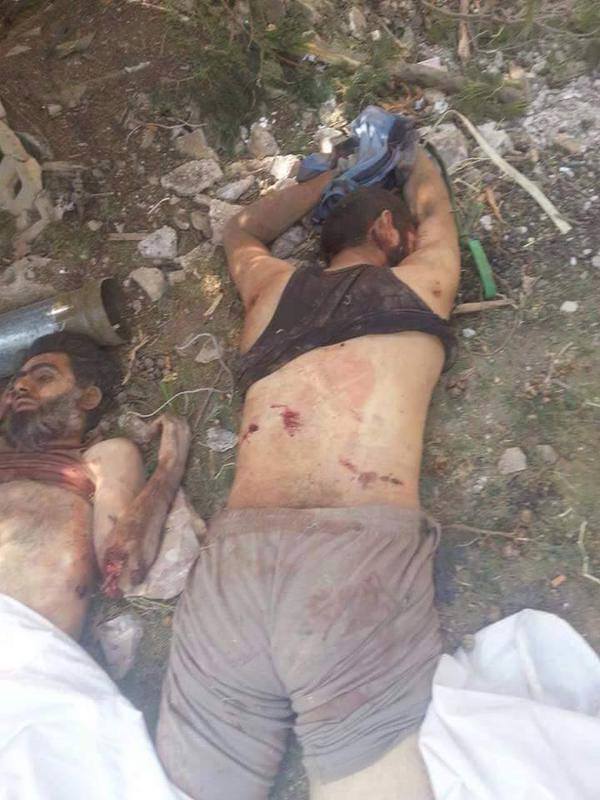 11885207_710144025758208_6096837485693799637_n