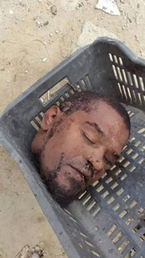 11885264_1479223652397659_491509741019526459_n