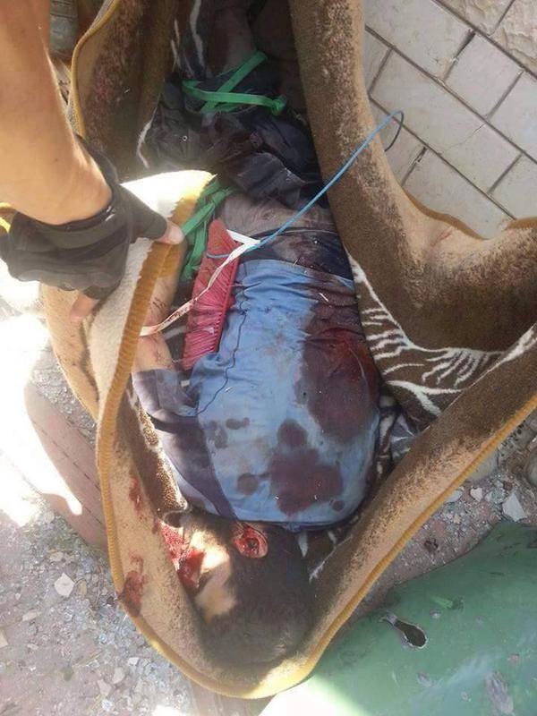 11892041_710144032424874_8867774788030369367_n