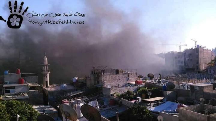 11902499_728150823979055_431212486047936030_n