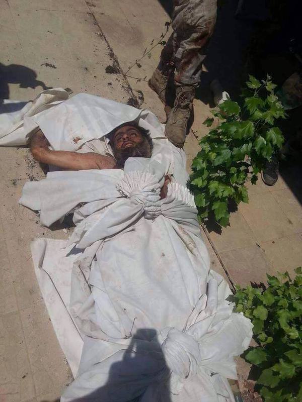 11904676_710144022424875_2315755536300647752_n