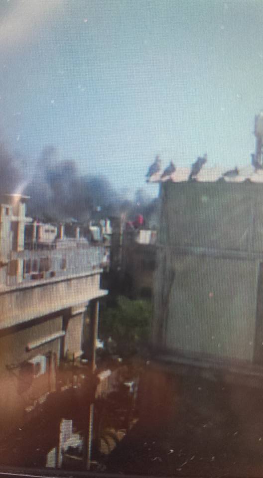 11949146_10156127844775144_5423444773142161835_n