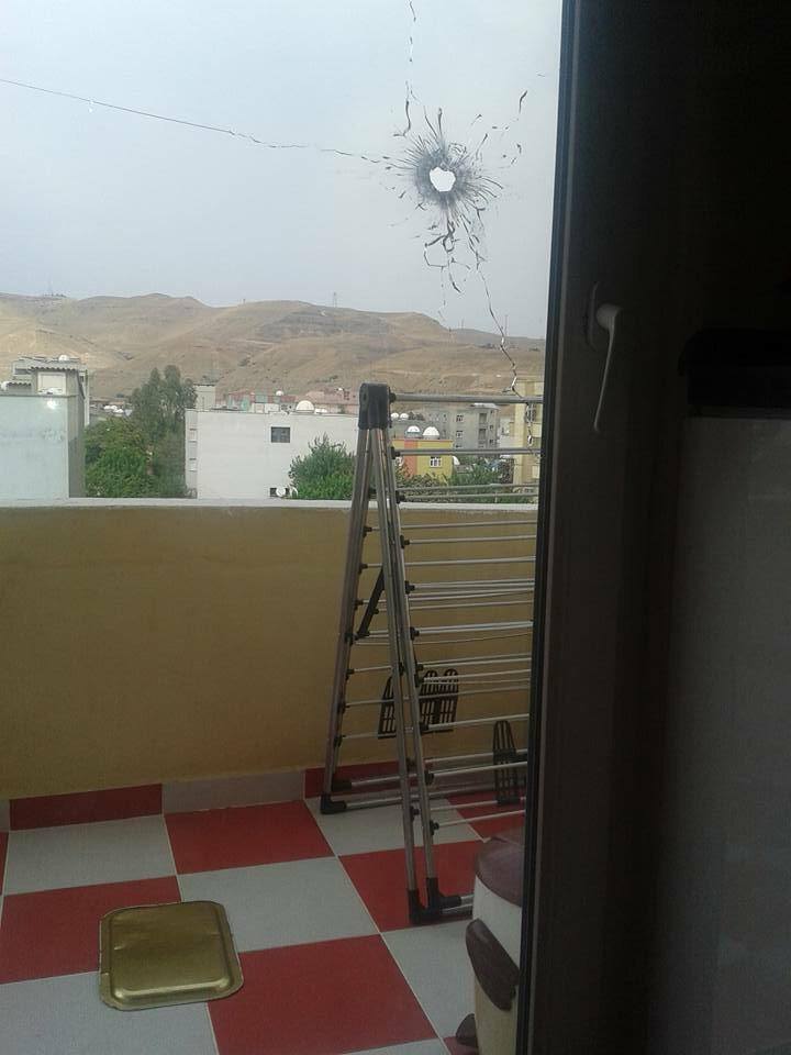 11036078_560628007424099_2969178007677155959_n