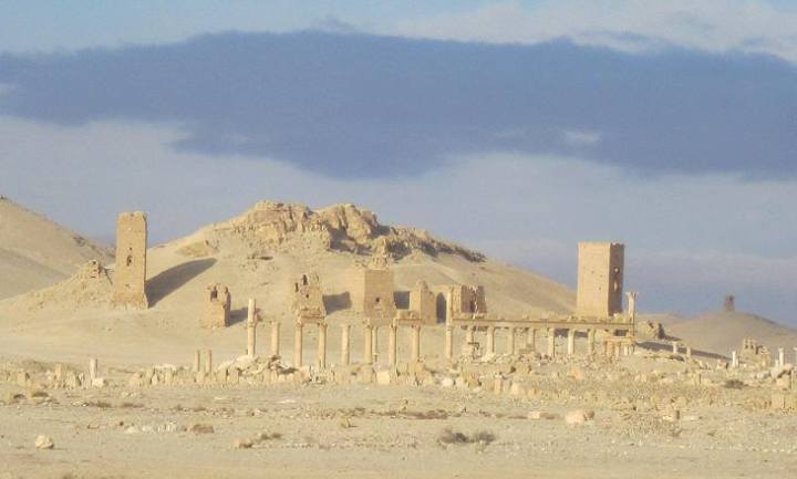 11947689_1464408957220546_1501943388948820366_n