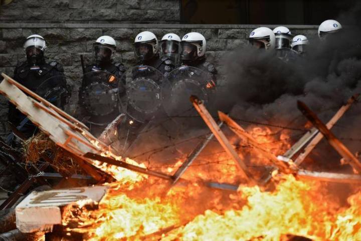 11951232_10153449902465091_4064807047226681715_n