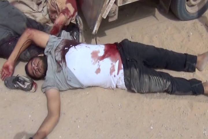 11987185_719066974890954_2387020465359628267_n