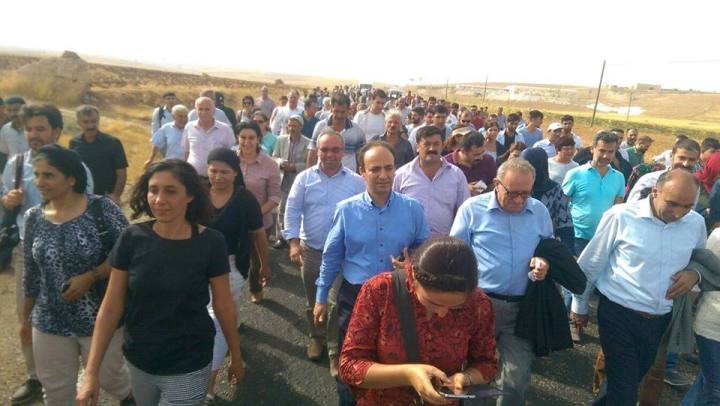 11987197_1660770087471388_7738073353076841600_n