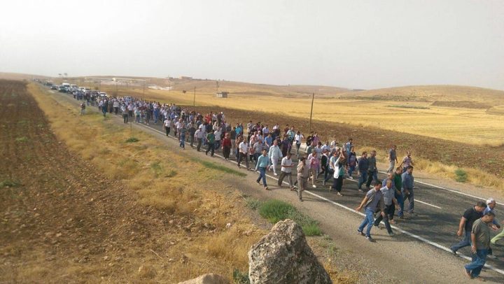 12003373_1660770094138054_4081883354199780193_n