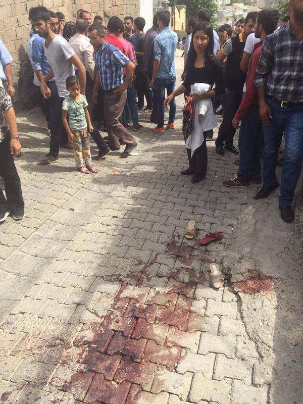 12004965_560628060757427_4667095124136509927_n