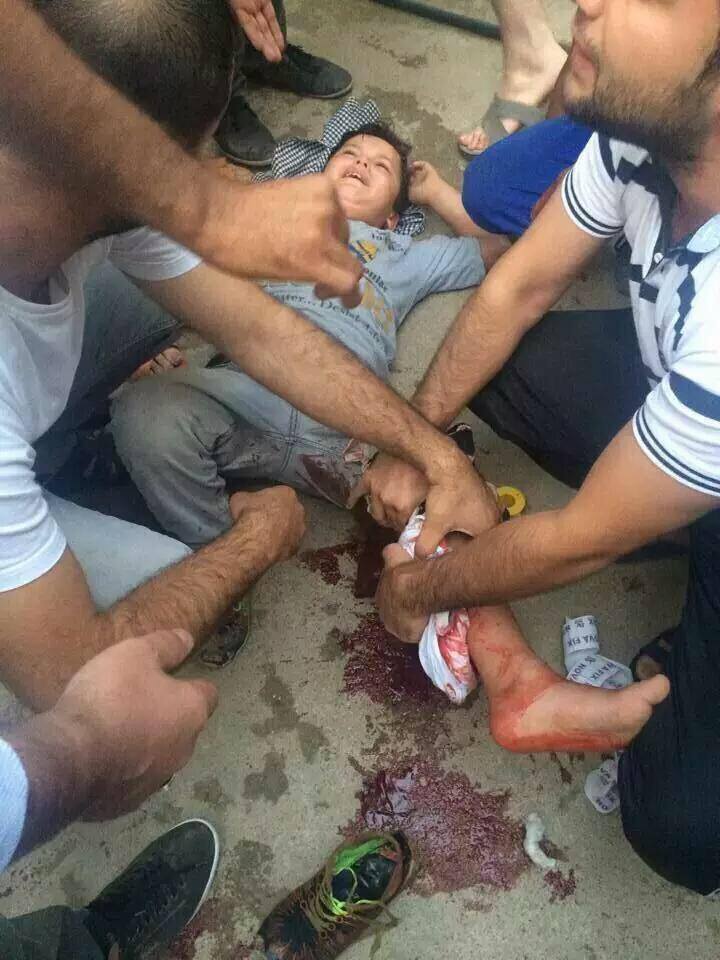 12006229_560628127424087_6239724260428014269_n