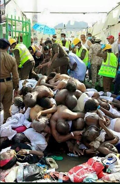 12049166_10204880021421446_6577872228261237845_n