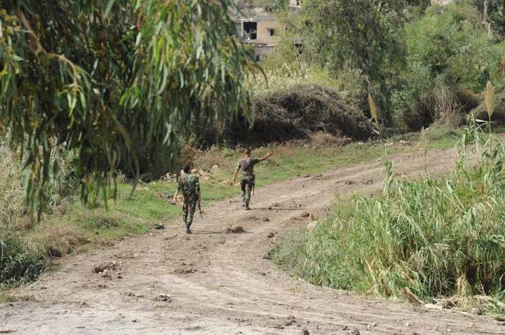 11825936_1010413972336868_1177335203980595609_n