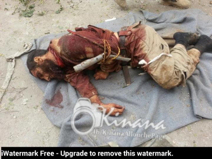 12046624_931923883511510_8011910984299572120_n