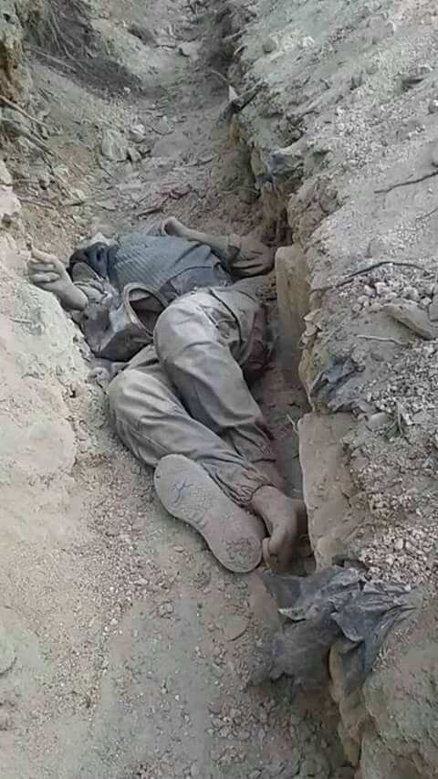 12065669_1013775478667384_3781005603257079923_n