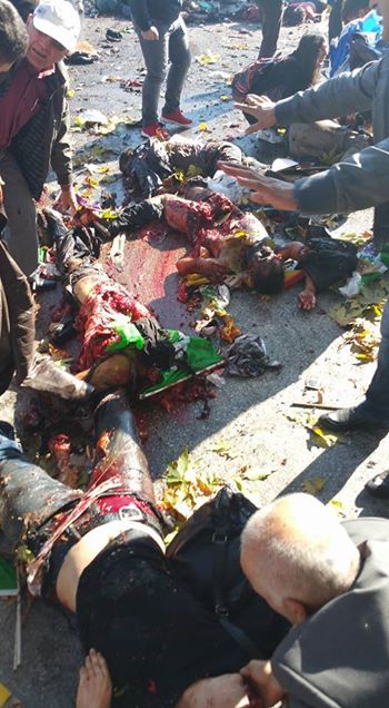 12065789_1508746709437976_187293168285823626_n