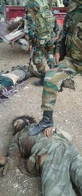 12066018_1015838365127762_8040058967433641573_n