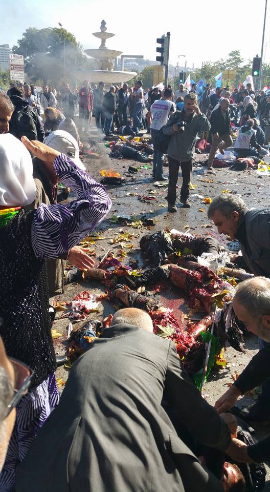 12079495_1508747156104598_6630606510431077373_n (1)