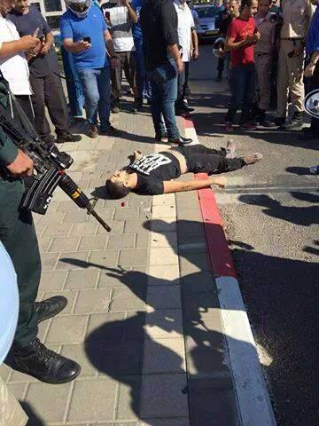 12096160_1819134761646584_138578478092295088_n