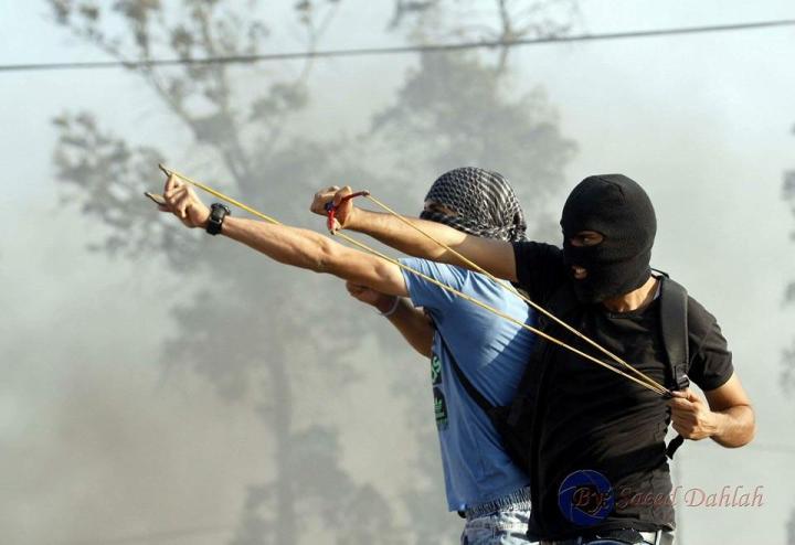 12105687_911273885613719_948820957152984095_n