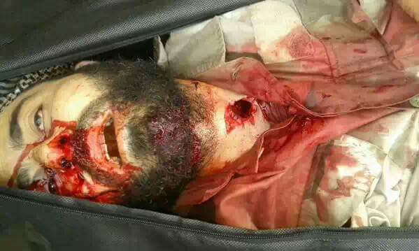 12115527_1013649295346669_7866334283136003875_n