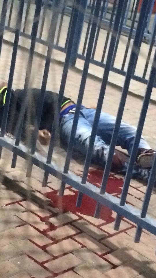 12140599_1019849238091977_5040926245470152451_n