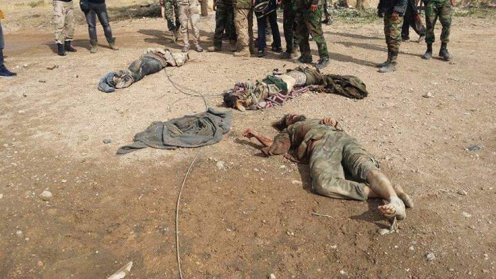 12189687_1015725218472410_8399572014047293215_n (1)