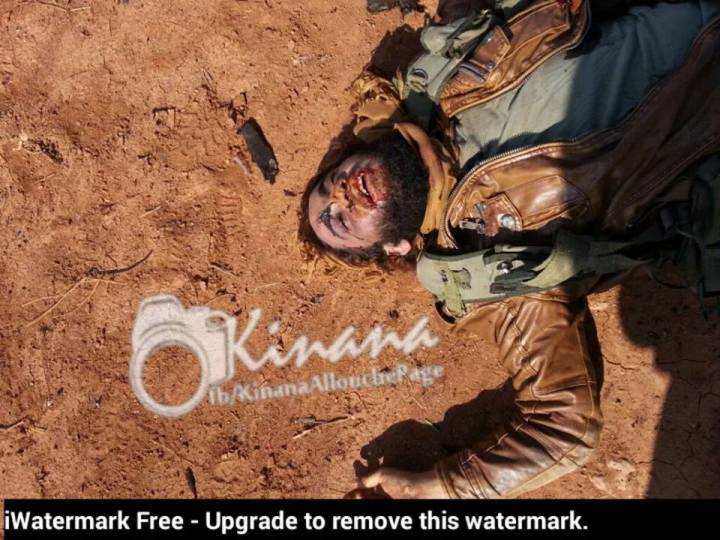 12065969_1017460868298845_4248795383644976651_n